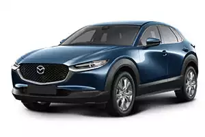 Автоковрики для Mazda CX-30 2019г.-по н.в.